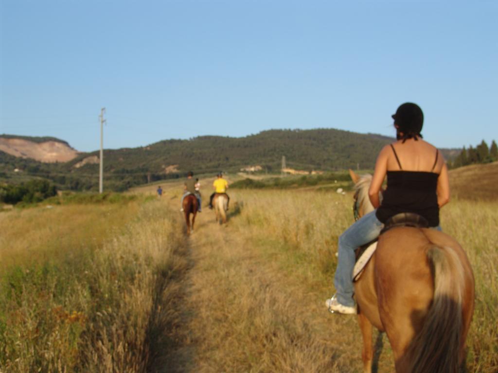 Agriturismo Eco-Bio Belmonte Vacanze Montaione Exterior foto