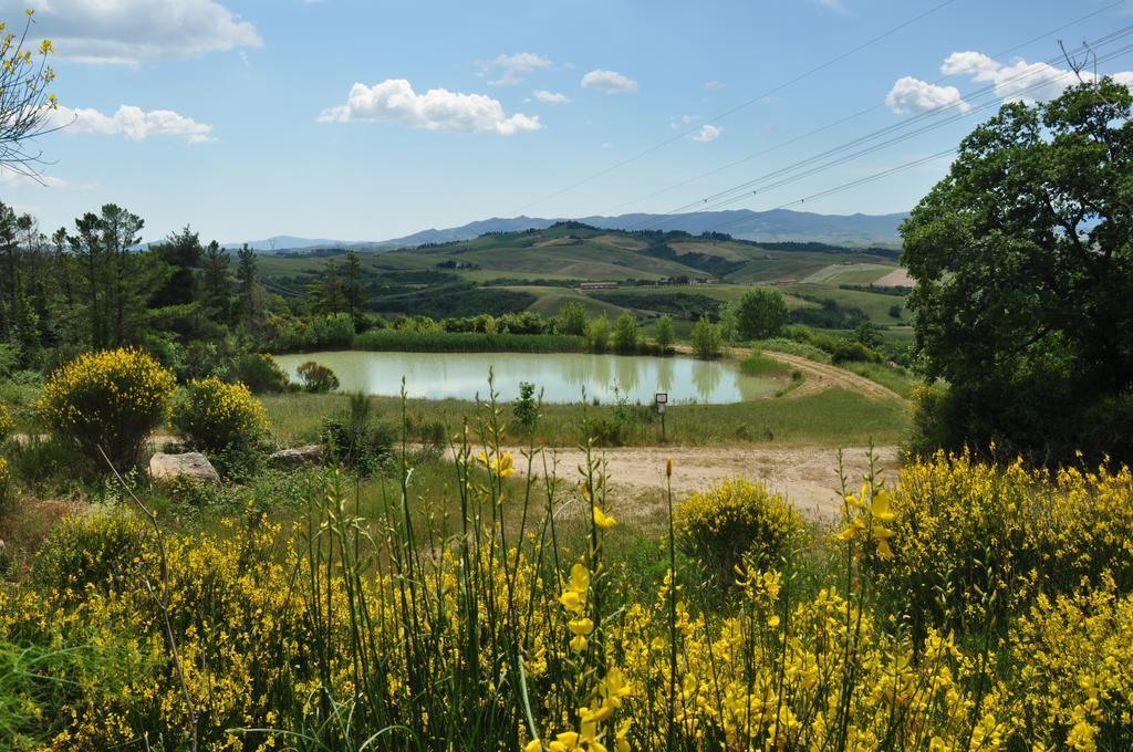 Agriturismo Eco-Bio Belmonte Vacanze Montaione Exterior foto