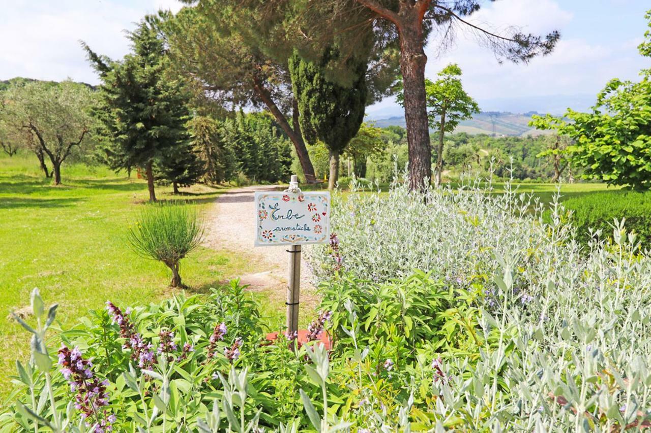 Agriturismo Eco-Bio Belmonte Vacanze Montaione Exterior foto